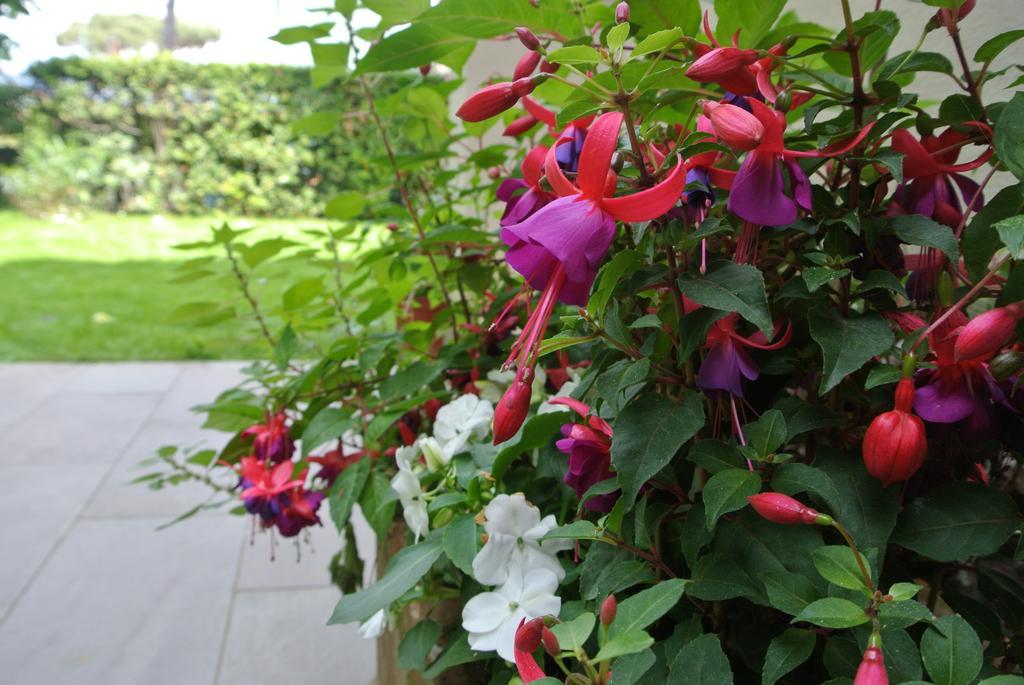 Casa Grischuna B&B Lido di Camaiore Luaran gambar