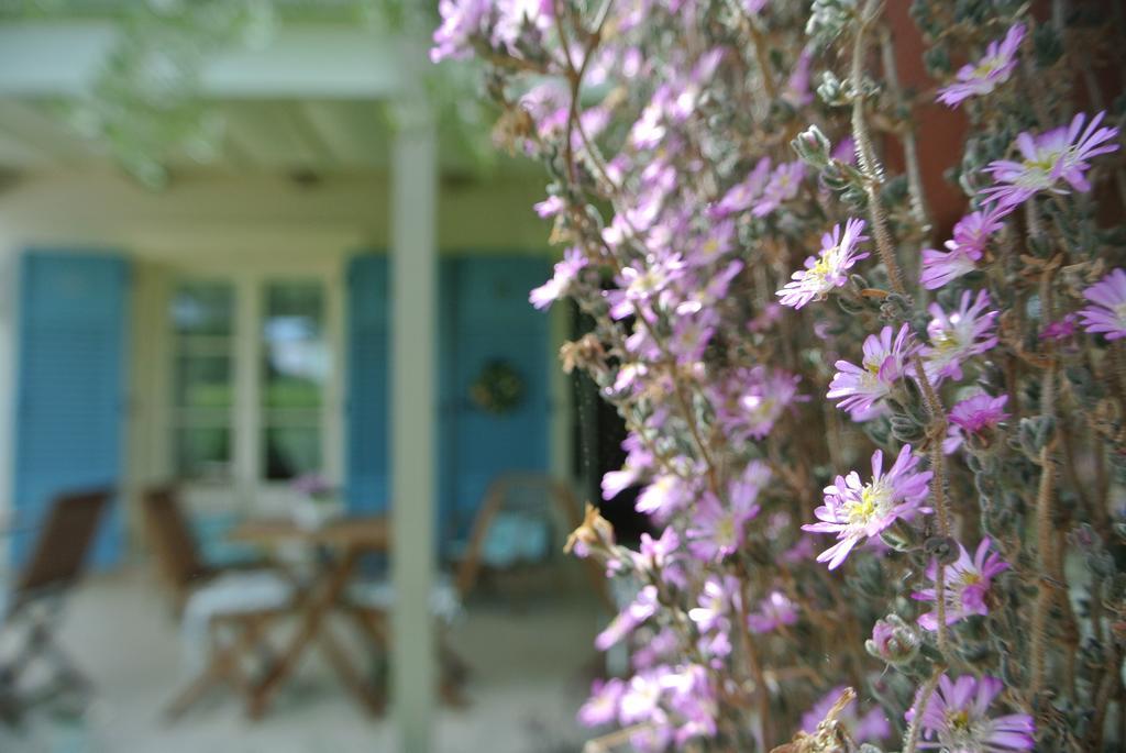Casa Grischuna B&B Lido di Camaiore Luaran gambar